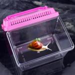 20 Pack Small Plastic Reptile Carrier Enclosures
