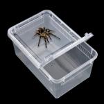 5 Pack Clear Reptile Breeding and Feeding Boxes