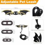 Bearded Dragon Carrier with Harness and Leash