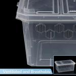 4-Pack Clear Feeding Boxes for Reptiles and Insects