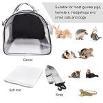 Portable Reptile and Small Animal Carrier Bag