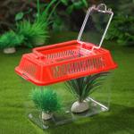 Portable Fish Bowl Set for Reptiles and Betta