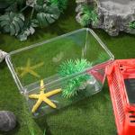 Portable Fish Bowl Set for Reptiles and Betta