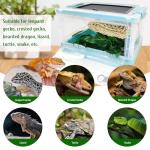 Collapsible Gecko Tank Starter Kit for Reptiles
