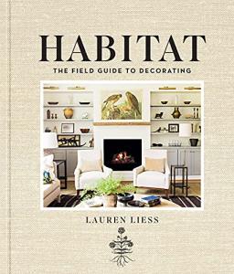Decorate Your Reptile Habitat Like a Pro