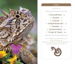 National Geographic Reptiles and Amphibians Pocket Guide