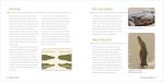 Kid's Guide to Reptiles: Explore Lizards and Frogs