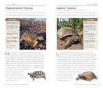National Geographic Reptiles and Amphibians Pocket Guide