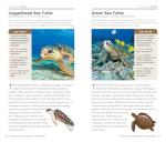 National Geographic Reptiles and Amphibians Pocket Guide
