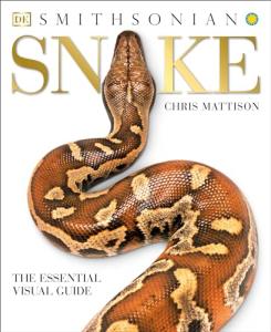 Snake Care: The Essential Visual Guide