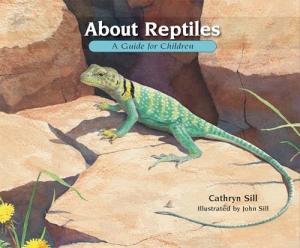 Reptiles for Kids: Fun Science Guide