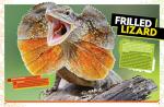 Ultimate Guide to Amazing Reptiles for Kids