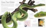 Snake Care: The Essential Visual Guide