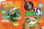 Ultimate Guide to Amazing Reptiles for Kids