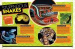 Ultimate Guide to Amazing Reptiles for Kids