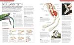 Snake Care: The Essential Visual Guide
