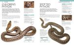 Snake Care: The Essential Visual Guide