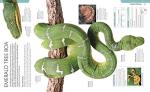 Snake Care: The Essential Visual Guide