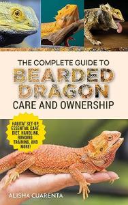 Bearded Dragon Care Guide: Set-Up, Nutrition, Training