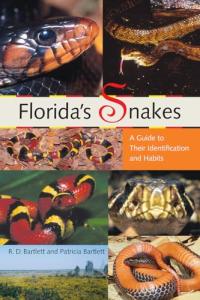 Florida Snake Identification and Behavior Guide