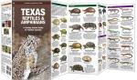 Texas Reptiles and Amphibians Guide Book