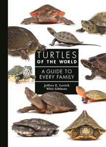 Turtles of the World: Complete Care Guide