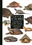 Turtles of the World: Complete Care Guide