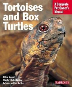 Tortoise and Box Turtle Care Guide