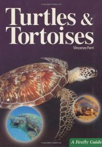 Turtles and Tortoises Care Guide