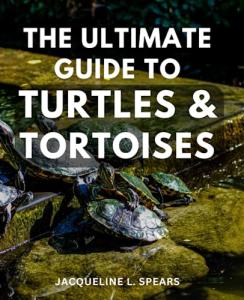 Turtle and Tortoise Care Guide for Enthusiasts
