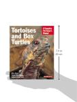 Tortoise and Box Turtle Care Guide
