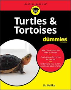 Turtles and Tortoises Care Guide