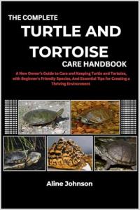 Turtle and Tortoise Care Guide for Beginners
