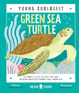 Green Sea Turtle: Easy Field Guide for Kids