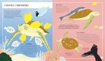 Green Sea Turtle: Easy Field Guide for Kids