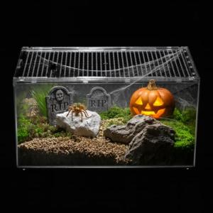 Clioran Reptile Terrarium Starter Kit for Pets