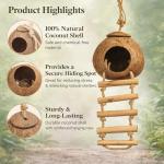 Crested Gecko Tank Decor with Vines and Ladder