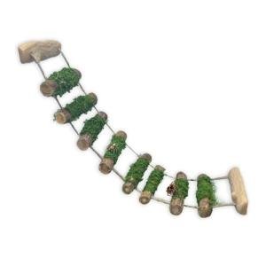 Wood Climbing Bridge for Jumping Spiders