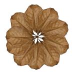 SunGrow Leaf Litter for Snakes - 10 Pcs