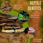 SunGrow Leaf Litter for Snakes - 10 Pcs