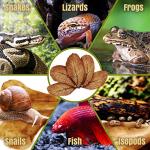 SunGrow Leaf Litter for Snakes - 10 Pcs