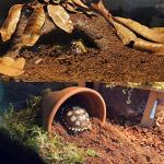 Fluffy Natural Reptile Soil Substrate and Bedding