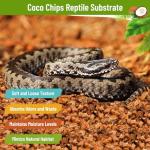 Natural Coconut Chip Substrate for Reptiles - 2 Pack