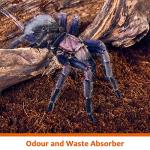 Natural Coconut Fiber Substrate Bedding for Reptiles