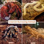 Natural Coconut Fiber Substrate Bedding for Reptiles