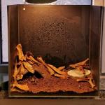 Fluffy Natural Reptile Soil Substrate and Bedding