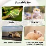 Sukh Aspen Snake Bedding for Reptile Tanks