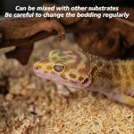 Sukh Aspen Snake Bedding for Reptile Tanks