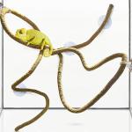 SunGrow Flexible Reptile Vine for Terrariums