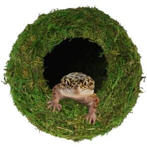 Mossy Caves for Reptiles and Frogs - 4”